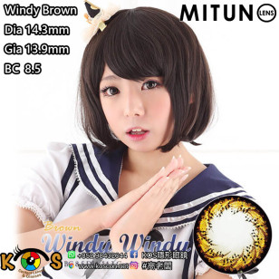 Mitunolens Windy Brown ウィンディウィンディブラウン 1年用 14.3mm
